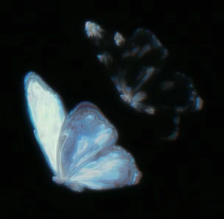 pfp